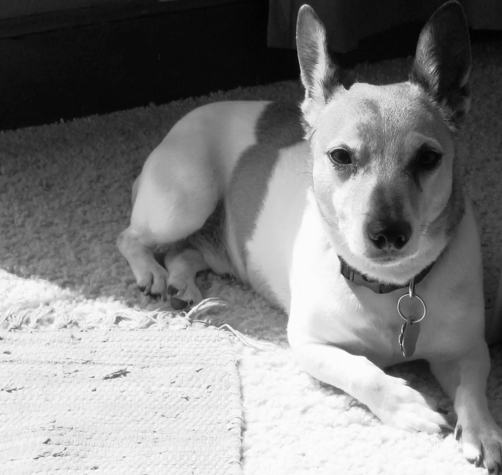 Bax2