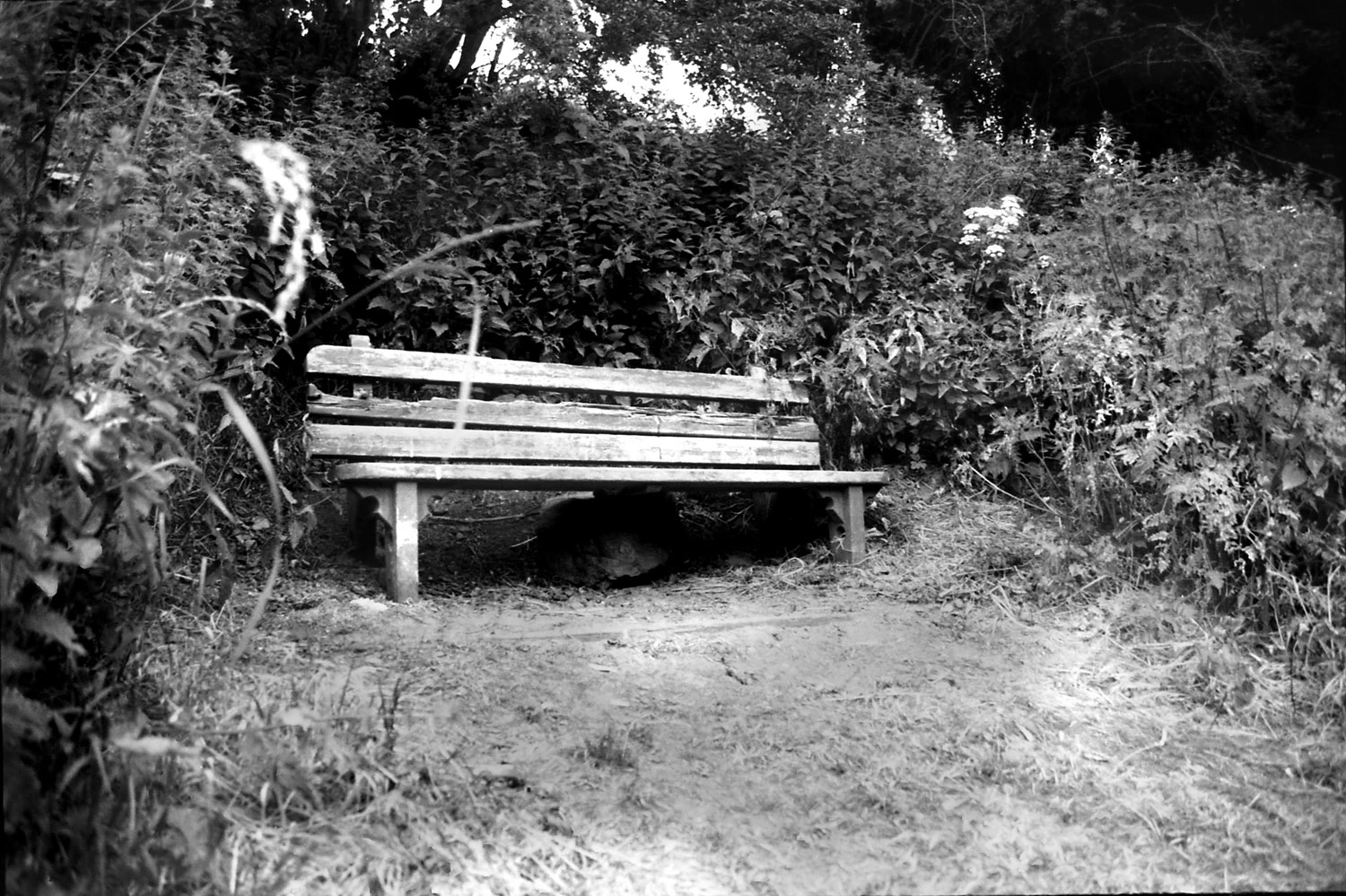 Bench