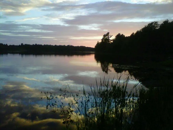blackberry4