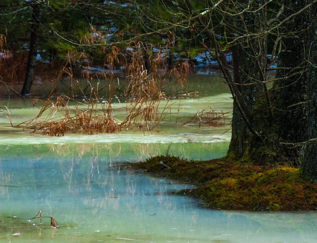 Blue and Green Ice Swamp #4 (D1H)
