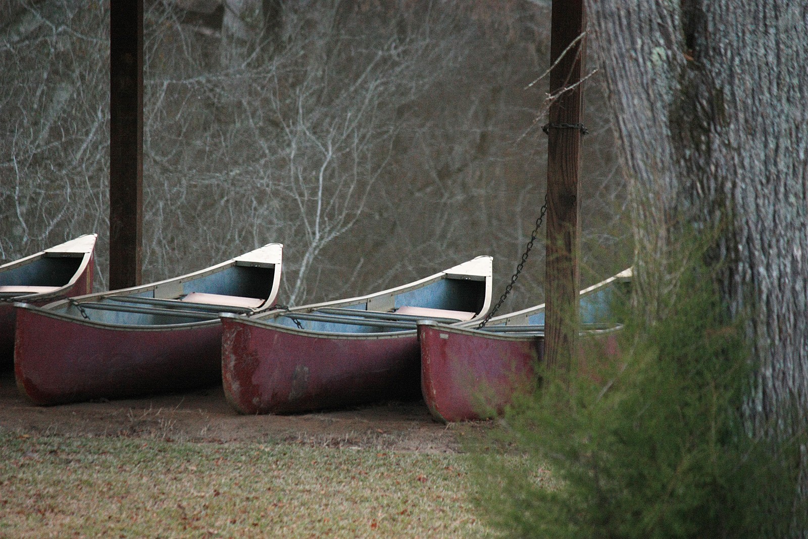 Boats