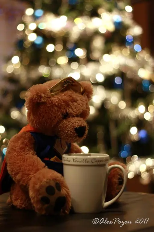 Bokeh Bear