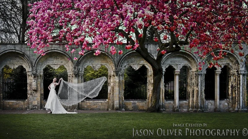 Bride in the Minster Gardens