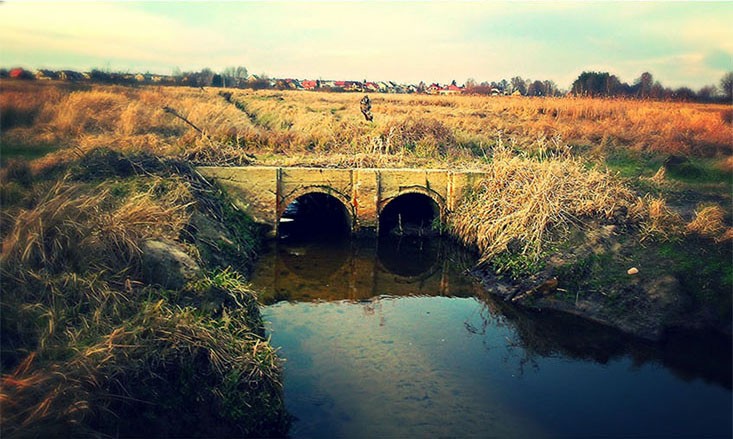 Bridge in the countryside