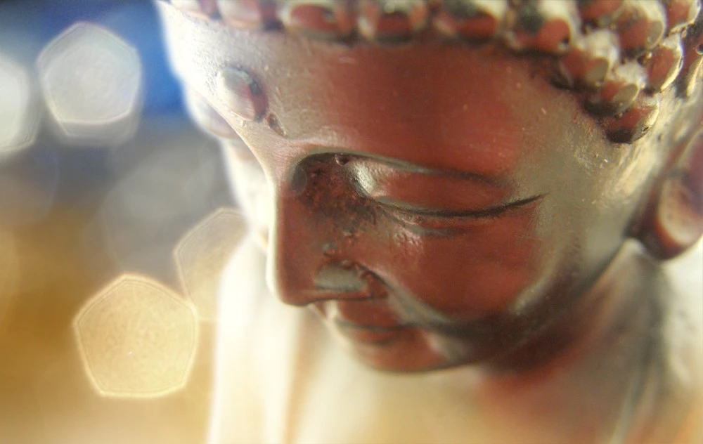 budda in the material world