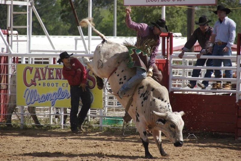 Bull Riding