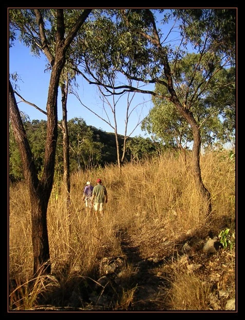 Bushwalking