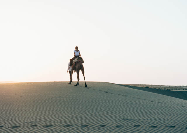 Camel Trekker the Greenhorn