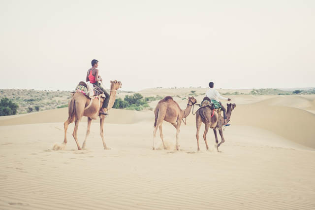 Camel Trekkers the Masters