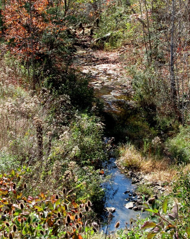 Camp Creek