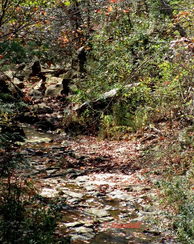 Camp Creek