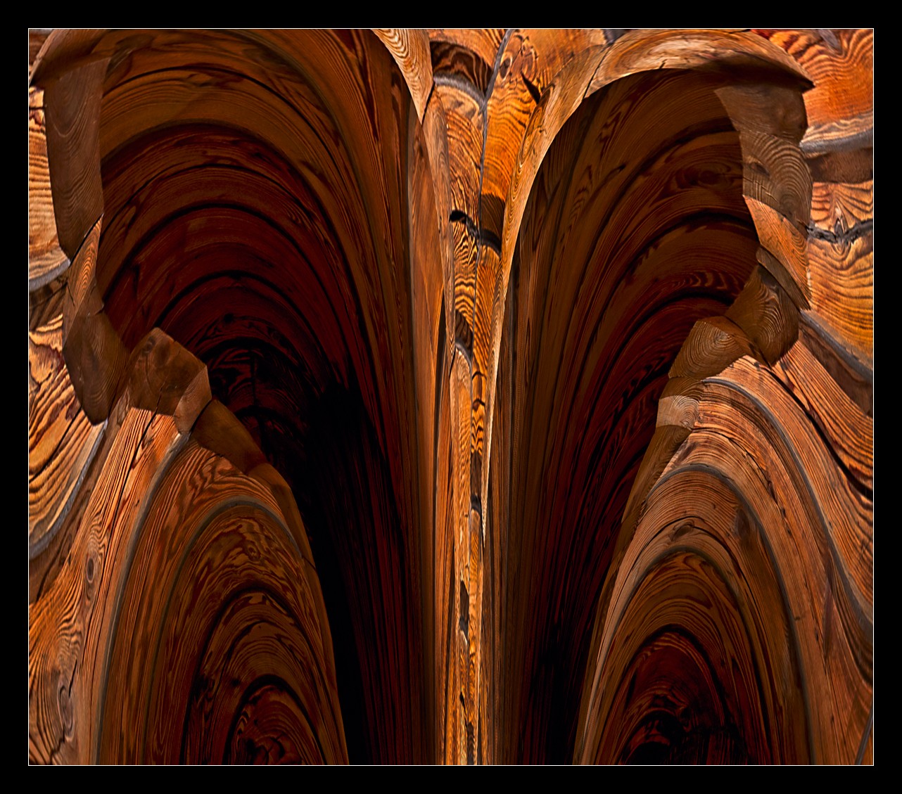 Caverns of Wood