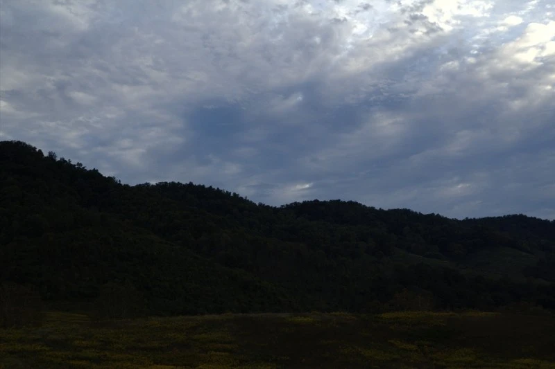 cedarfork2