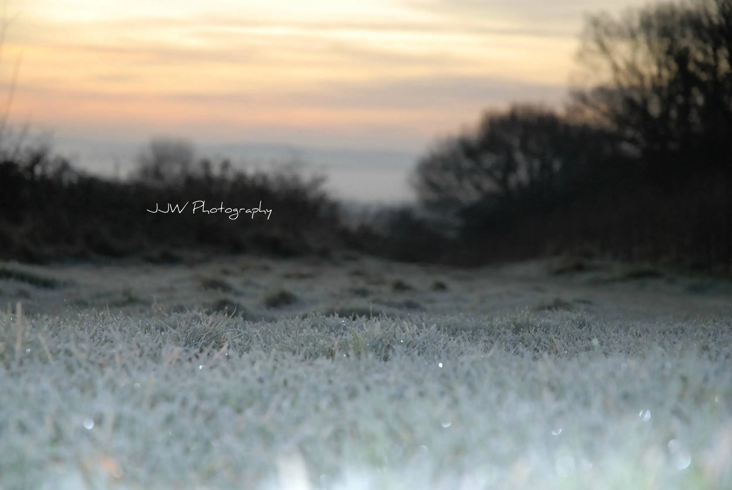 Chilled Start
