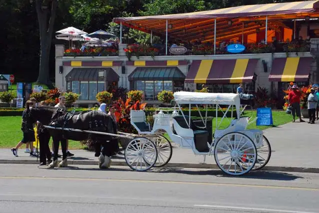 Cinderella_s-Carriage