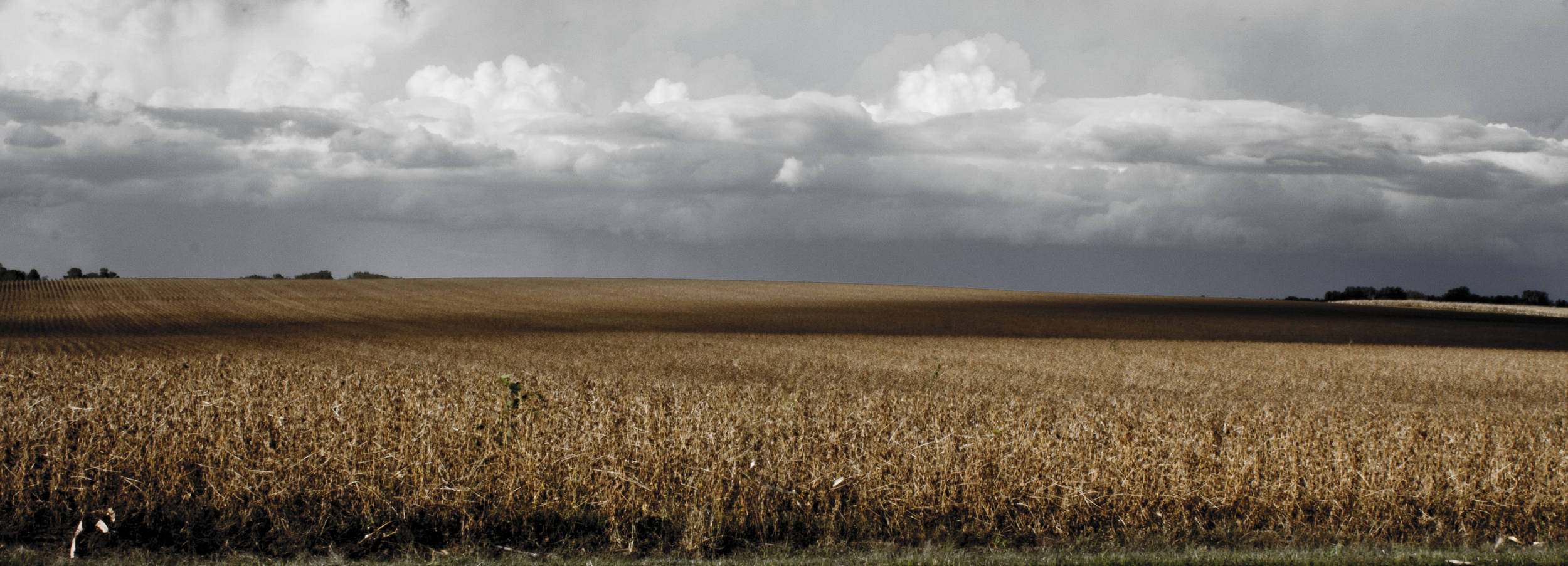 Clouds_over_fields