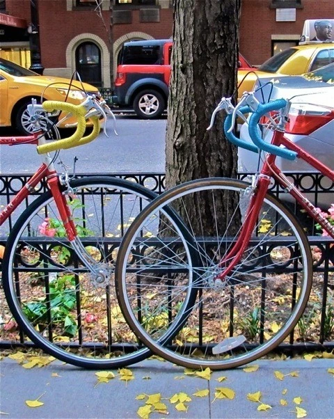 Colors of Fall in NYC