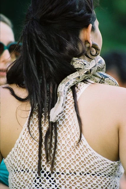 Comfest 2010, Columbus Ohio