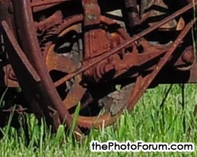 Compare 50_crop-1