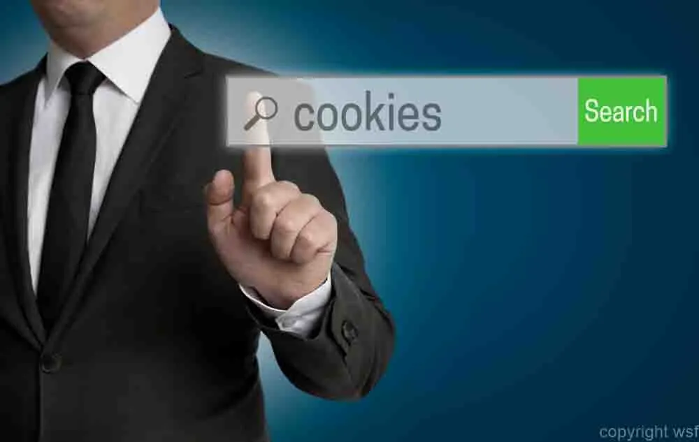 cookies internet browser is operated by businessman