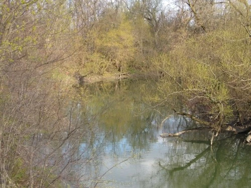 Creek