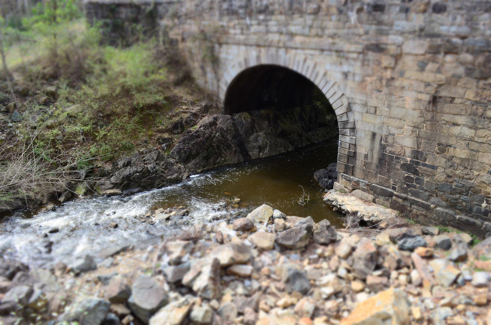 Creekside Bridge