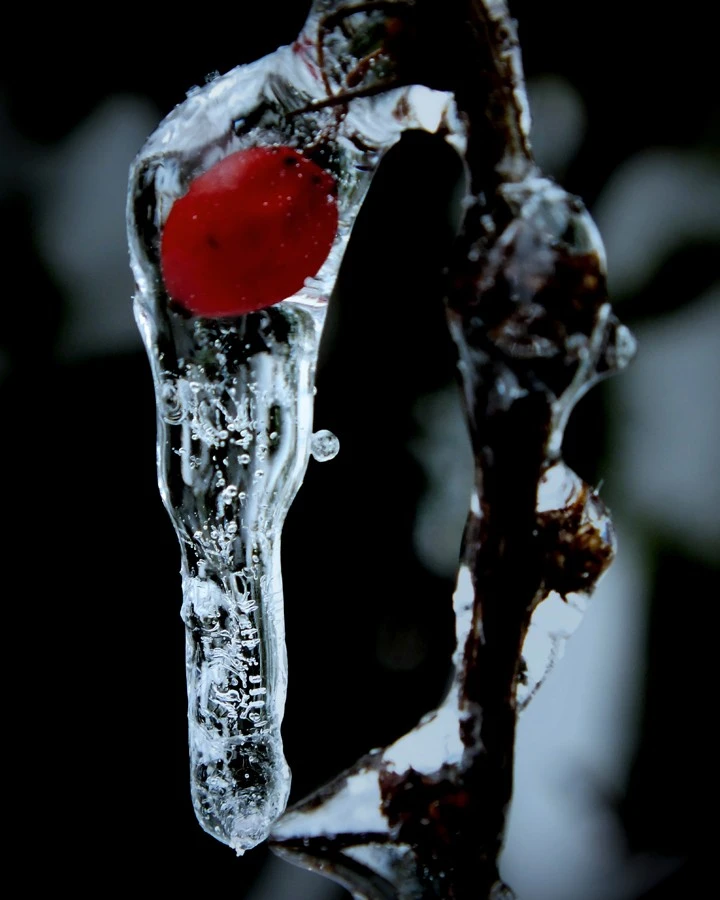 Cryogenics