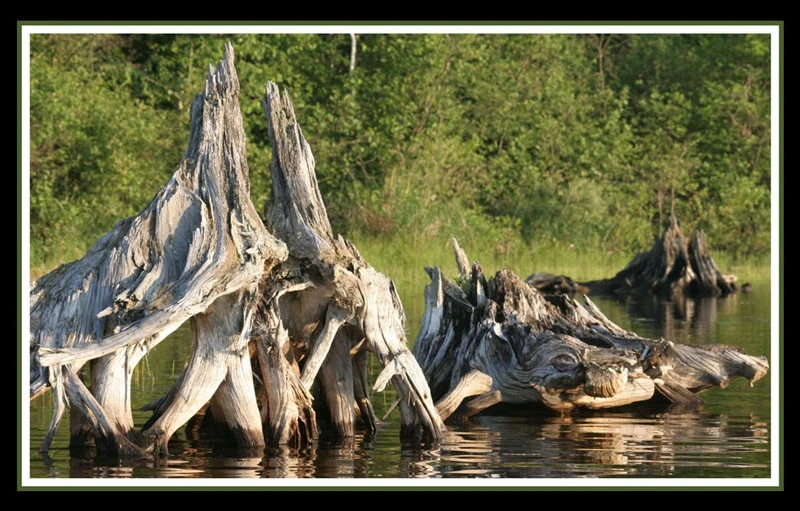 Dark Lake Wilberforce Ontario