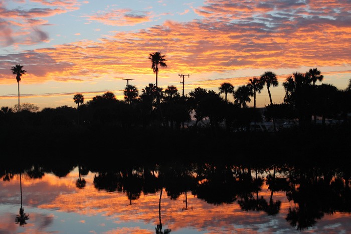 Daytona Sunrise