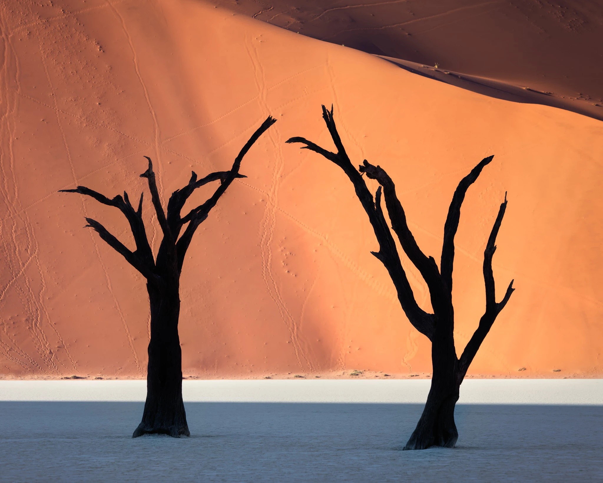 Dead Acacia Trees and Red Dunes of Deadvlei in Namib-Naukluft Pa