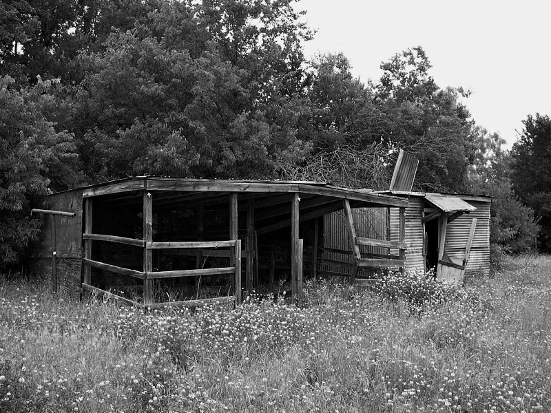 Derelict