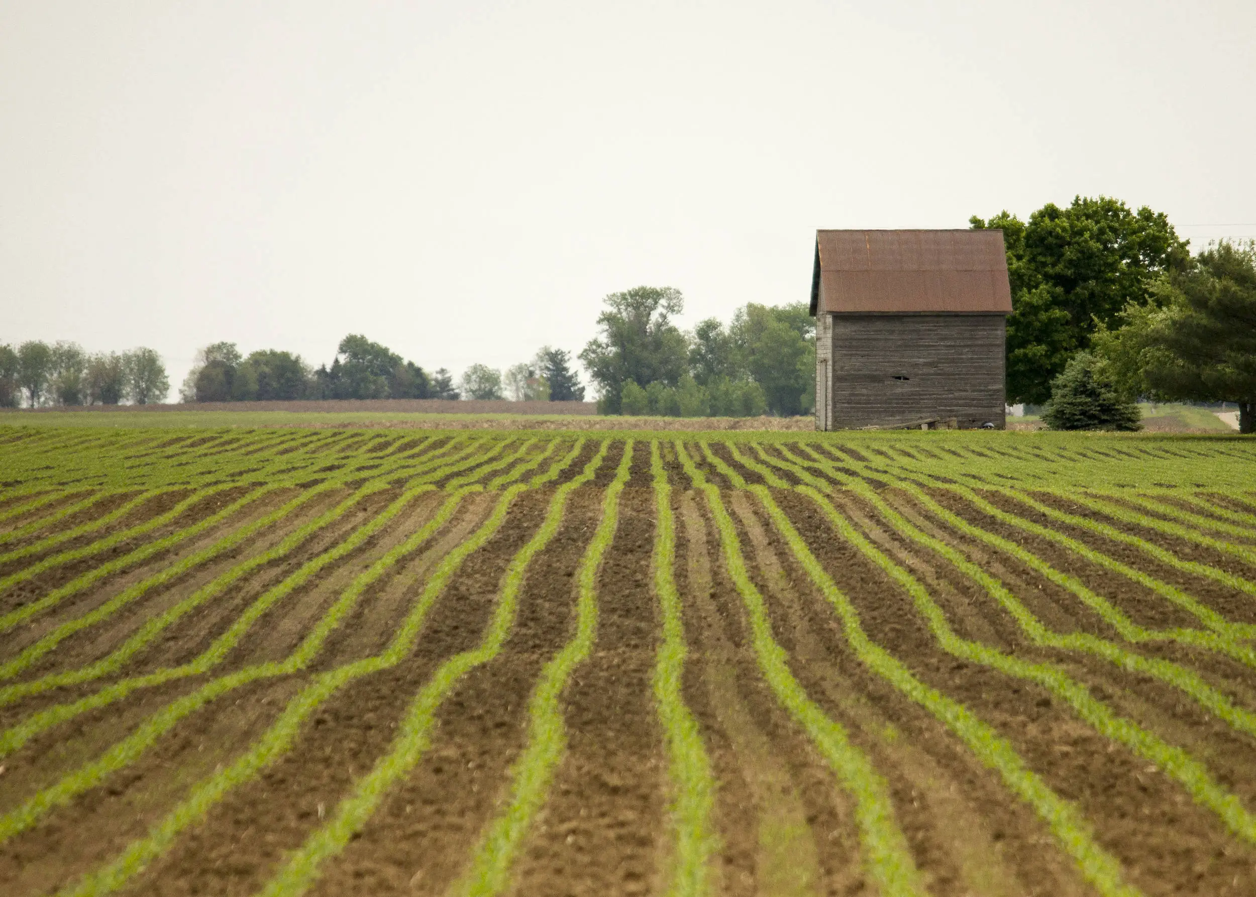 Distant Barn