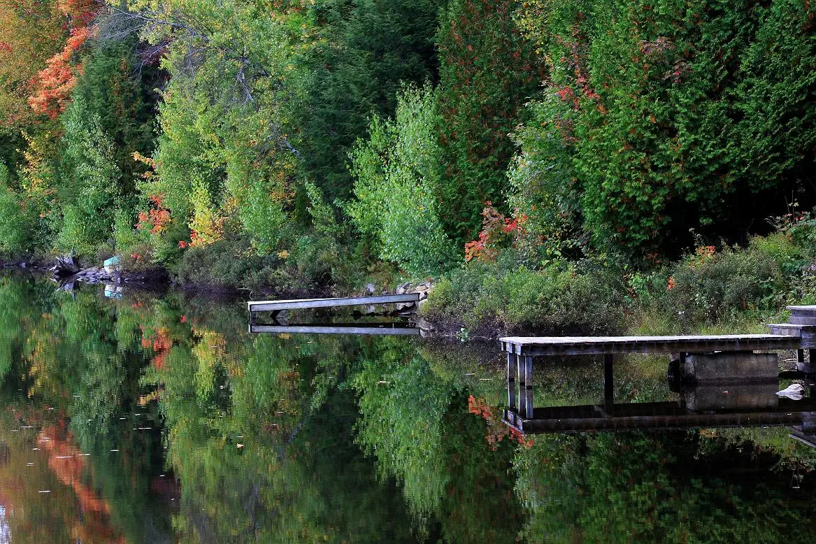 Docks in autumn