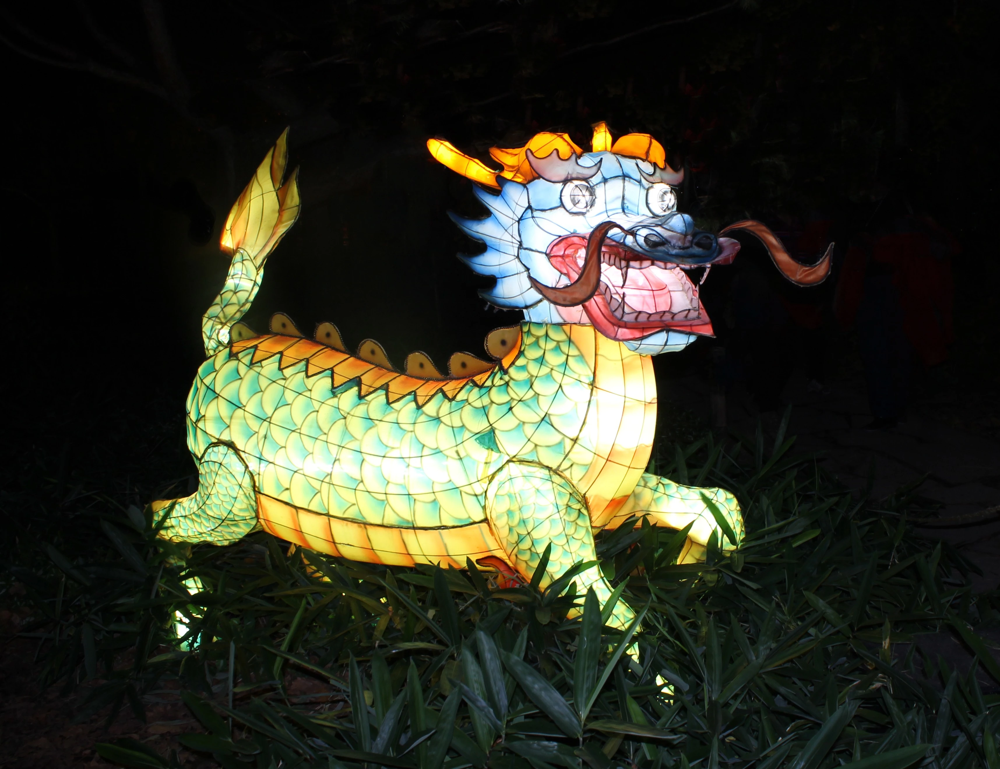 Dragon