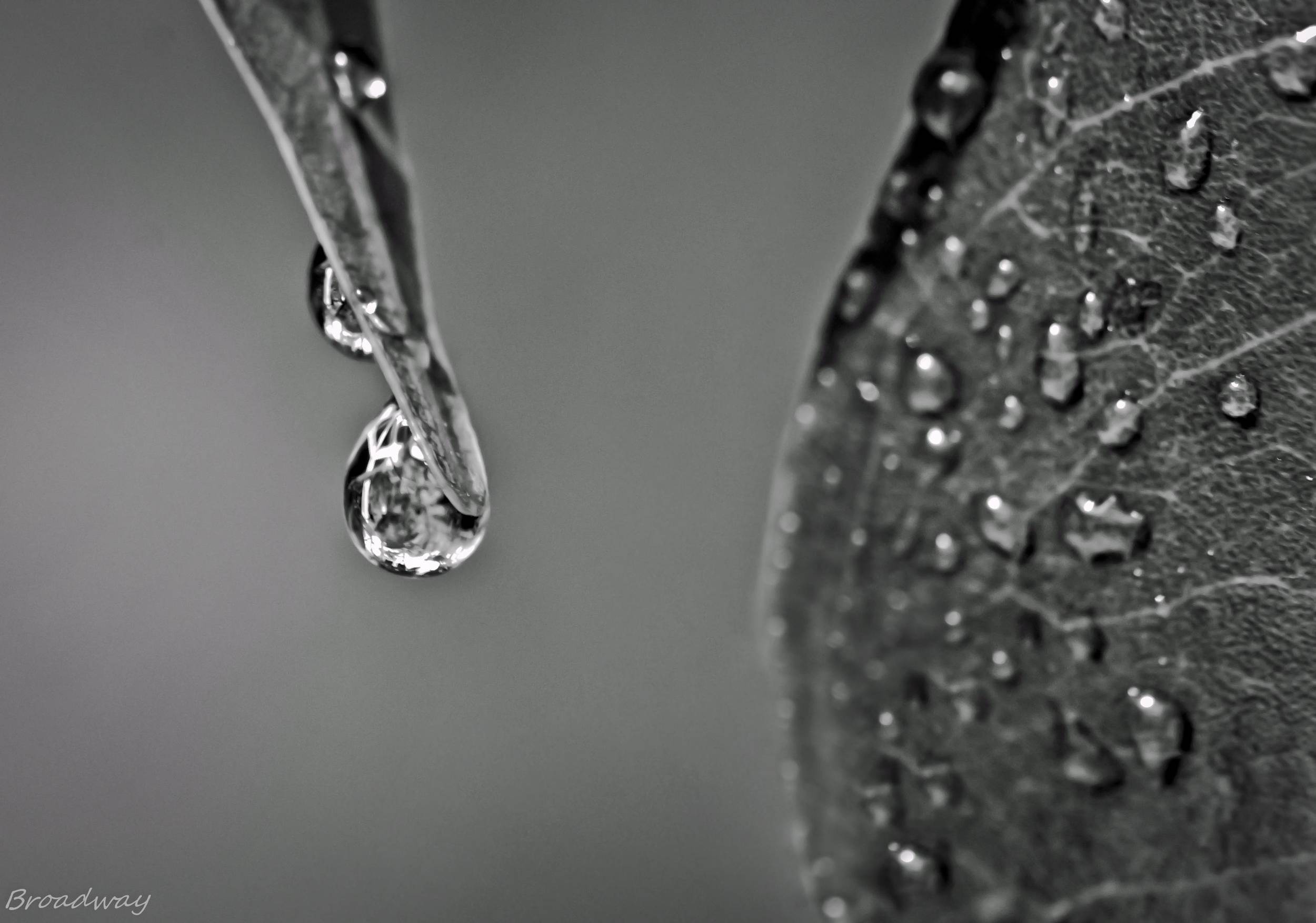 drops