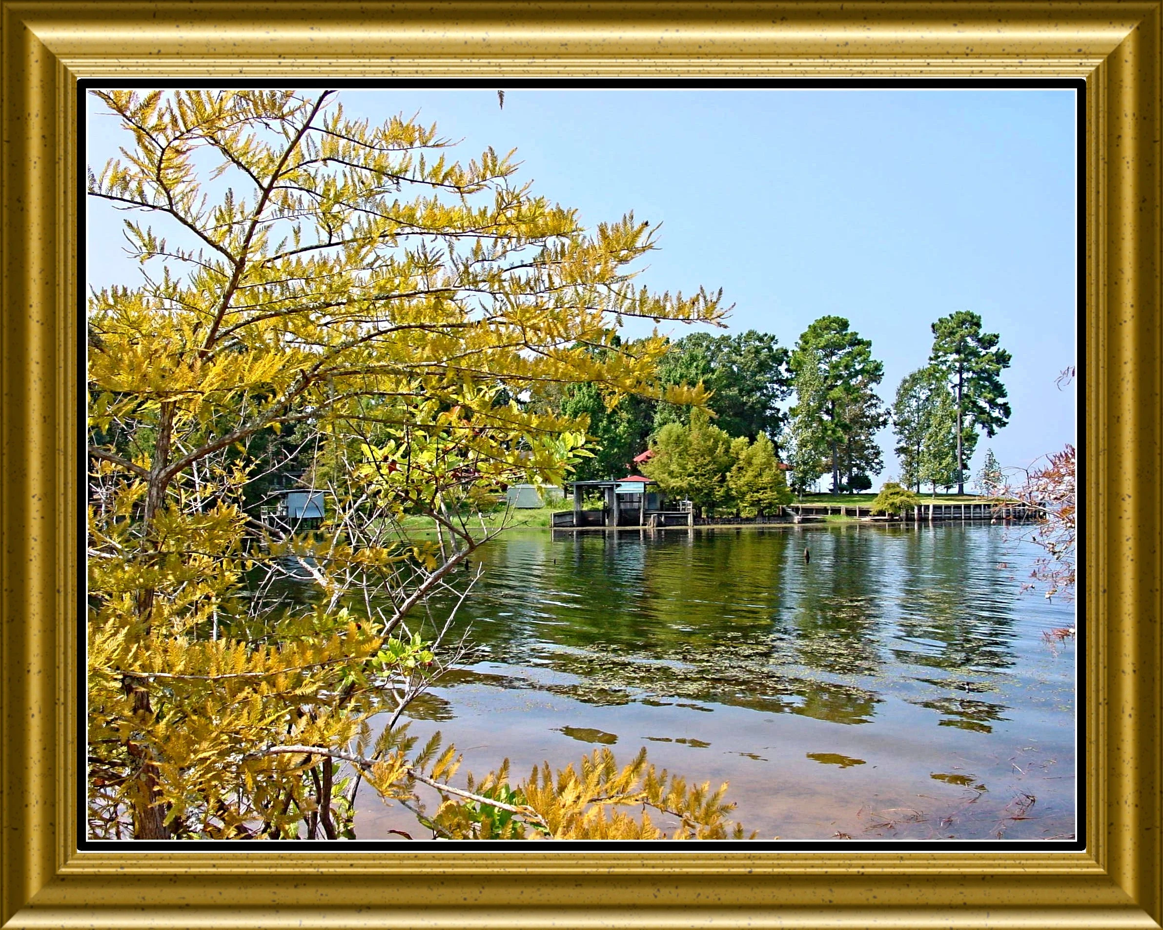 DSC00320_l