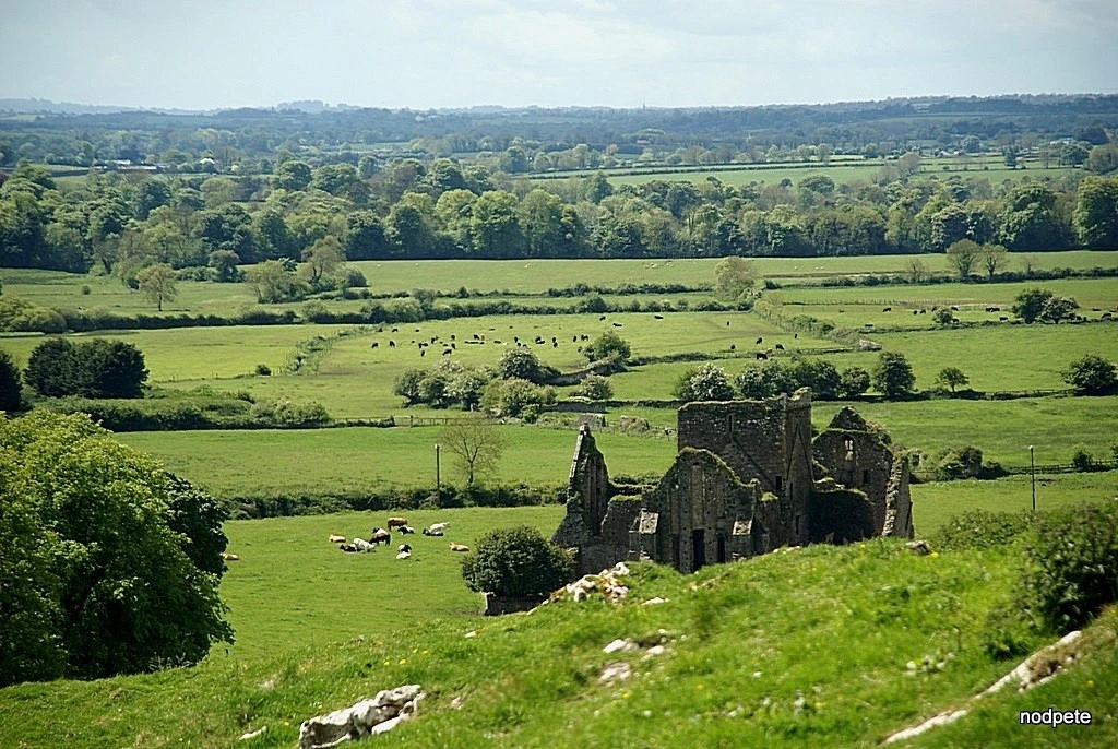 DSC02829