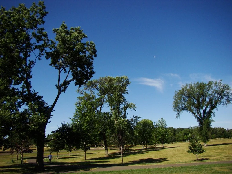 DSC08200