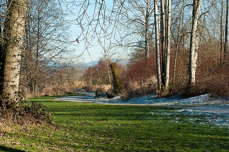 DSC9607