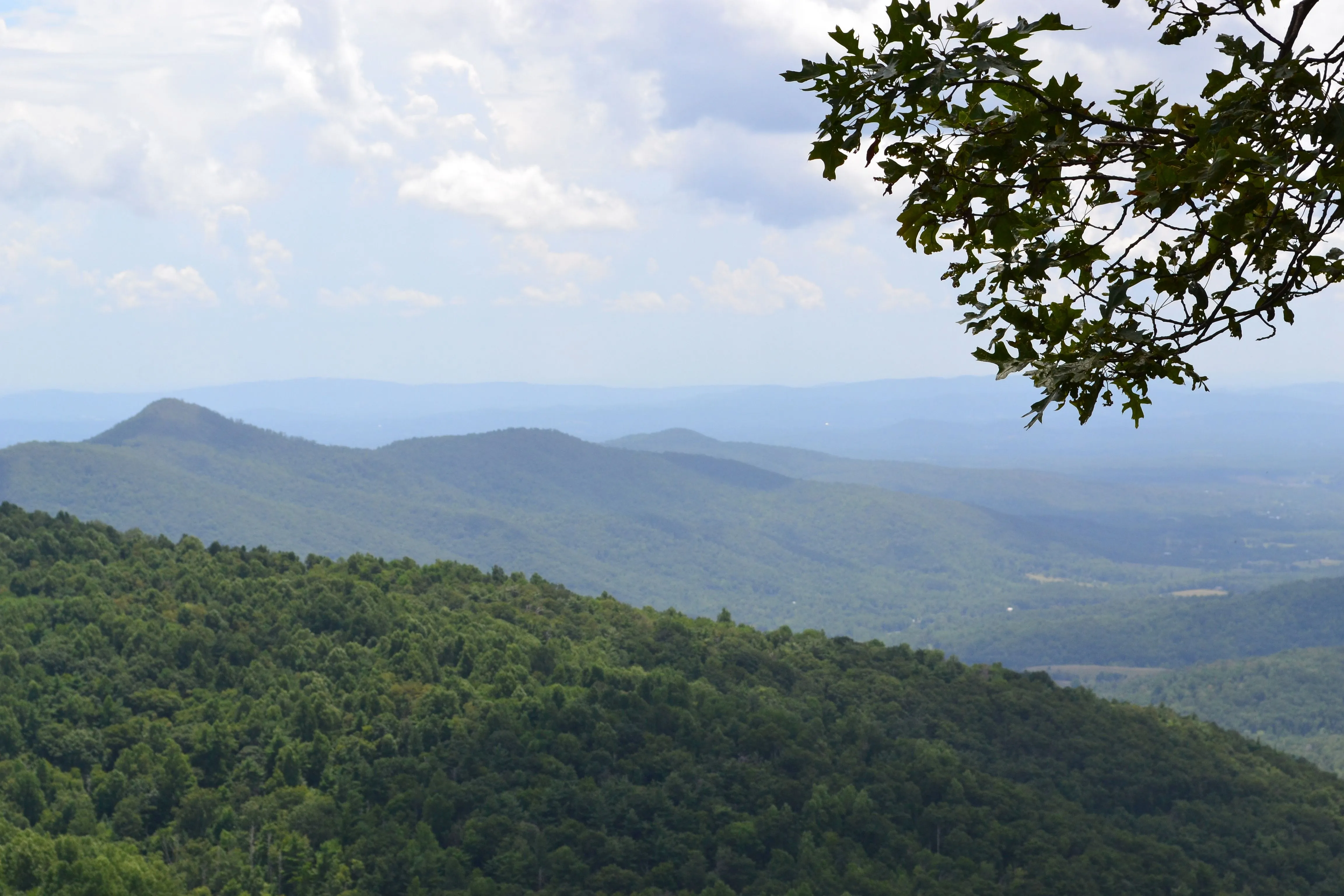 DSC_0021.JPG