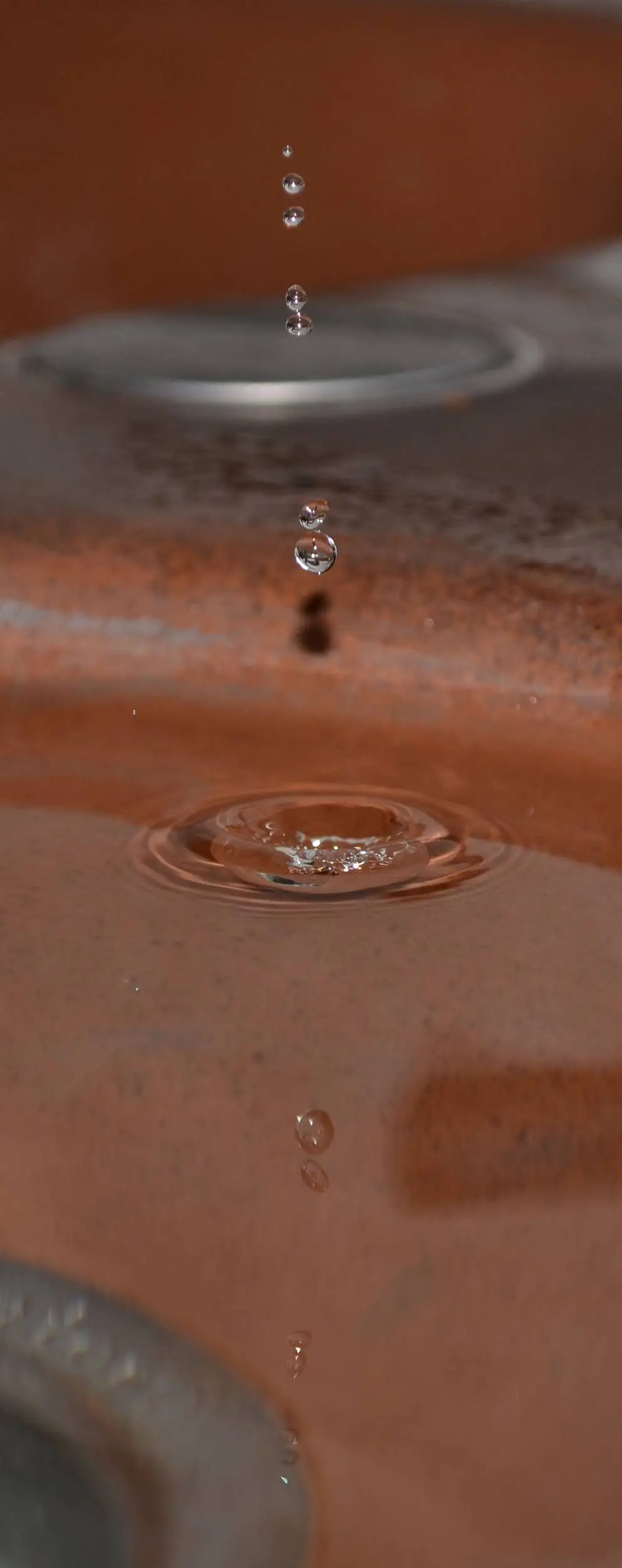 DSC_0785