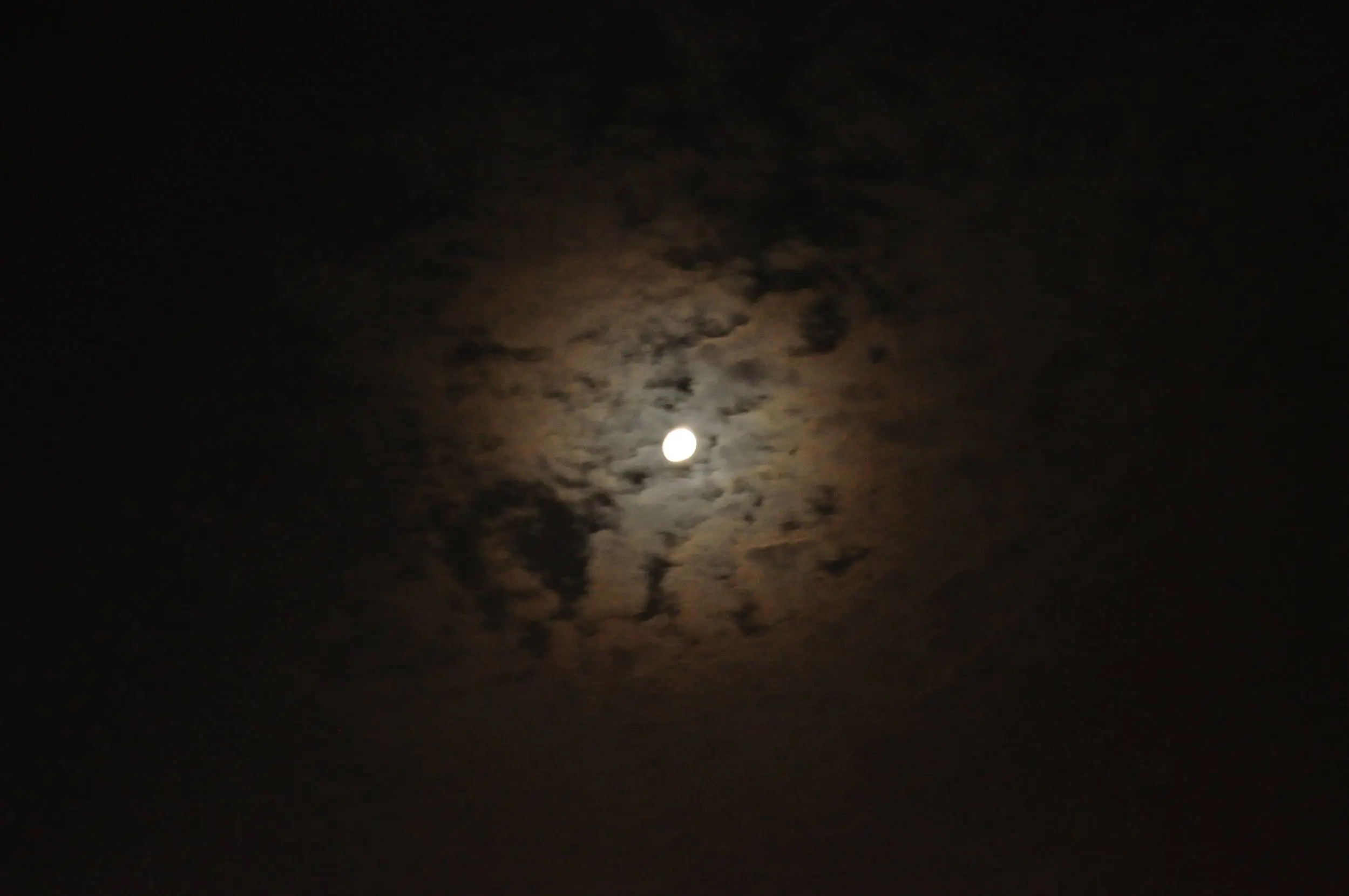 DSC_1263