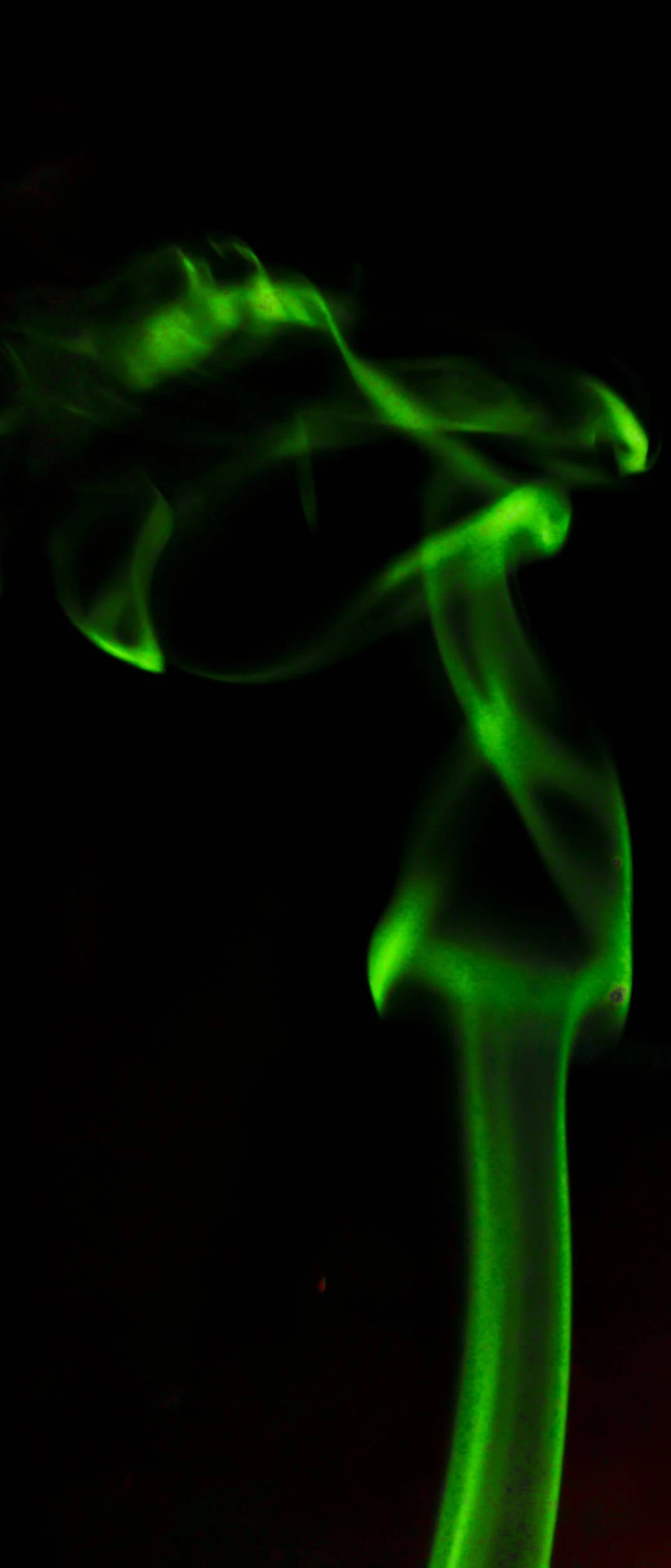 DSC_1297