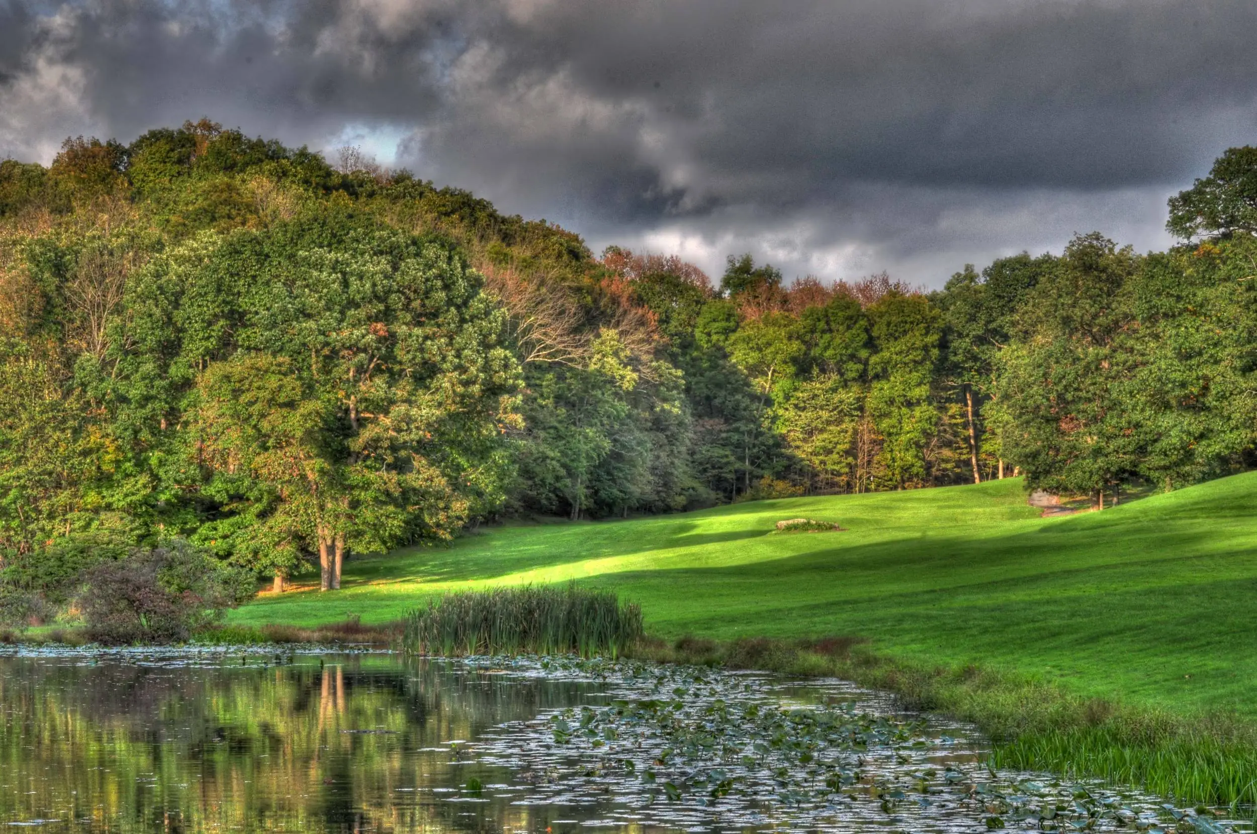 DSC_1562_3_4_tonemapped