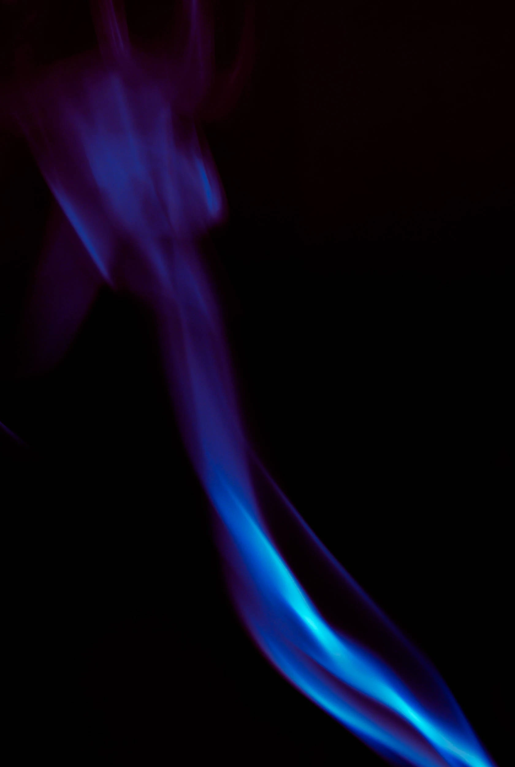 DSC_1984