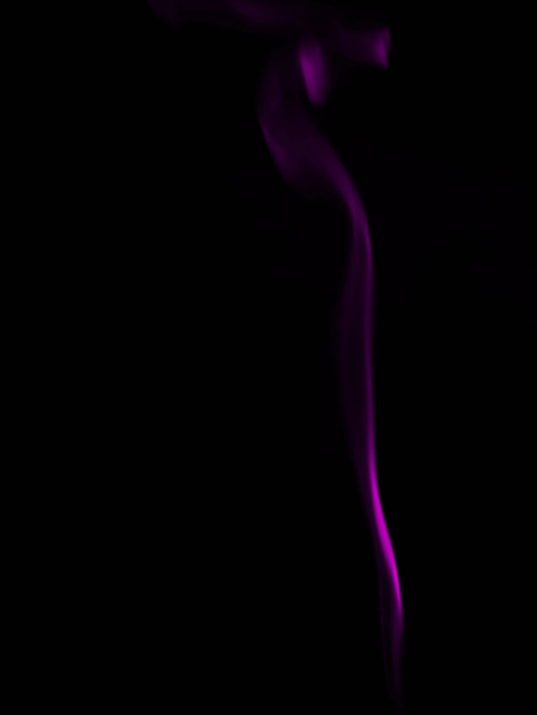 DSC_2113