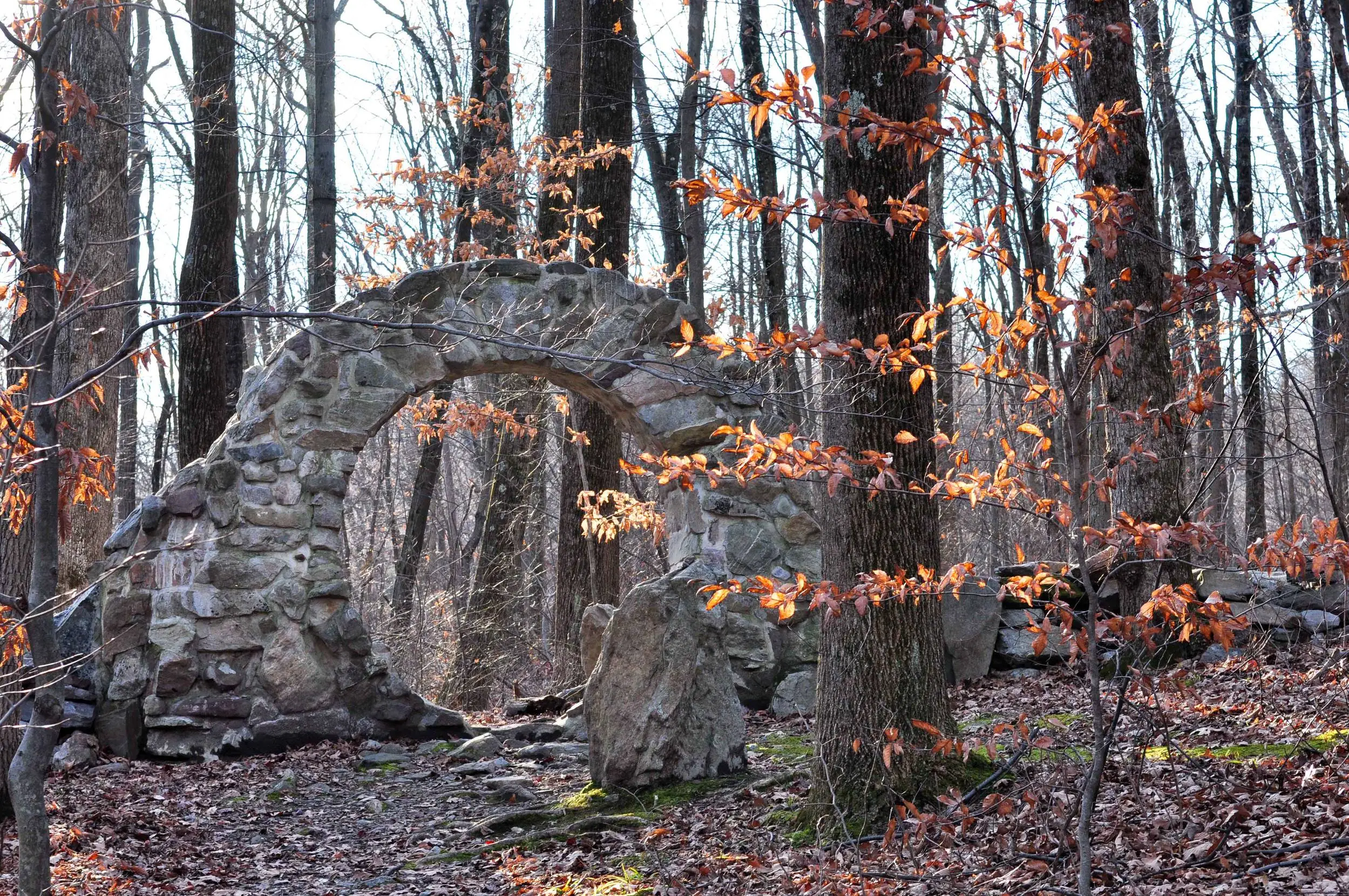 DSC_3532