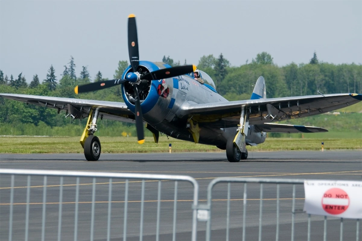 DSC_4906_copy