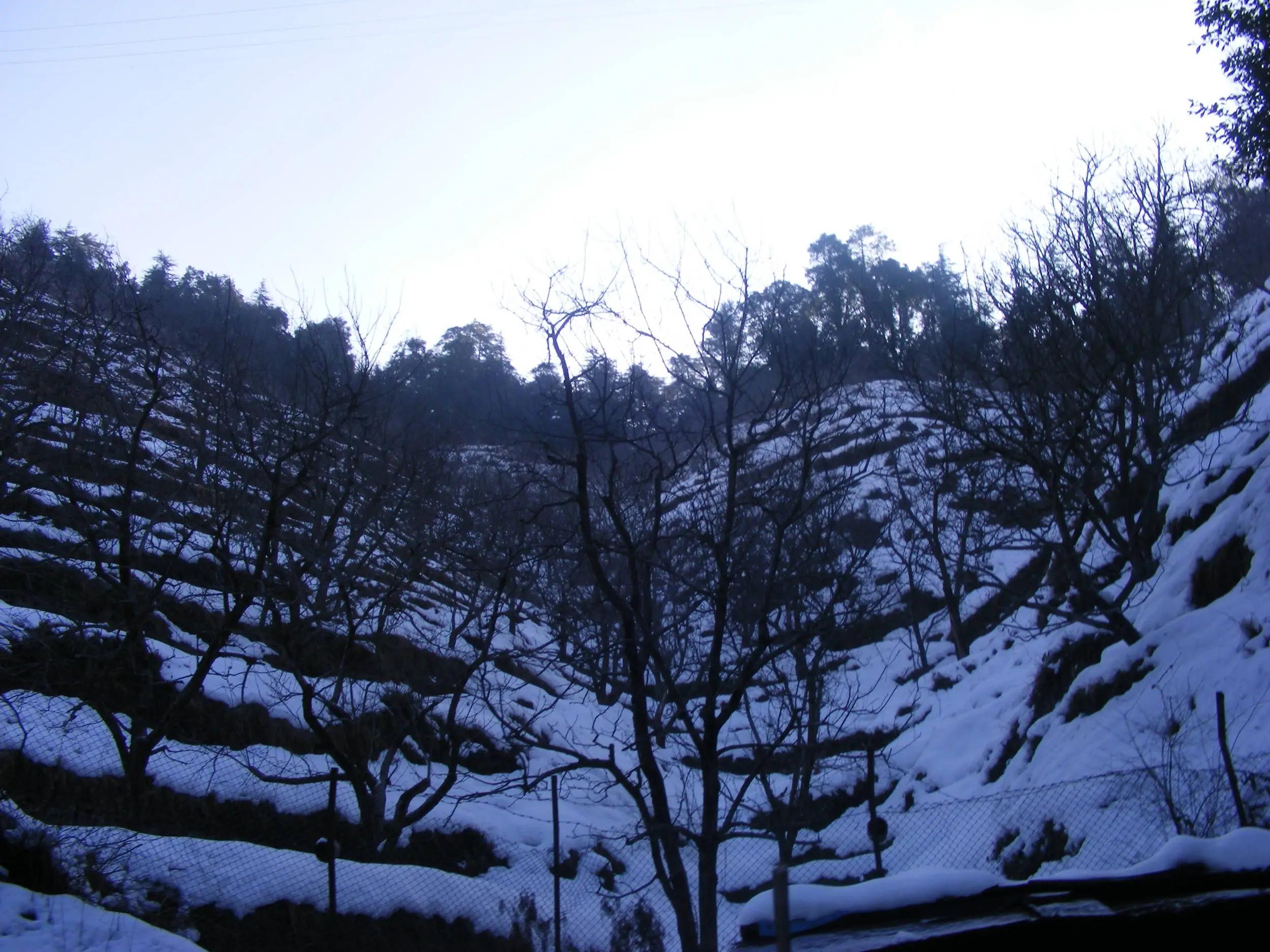 DSCF5034