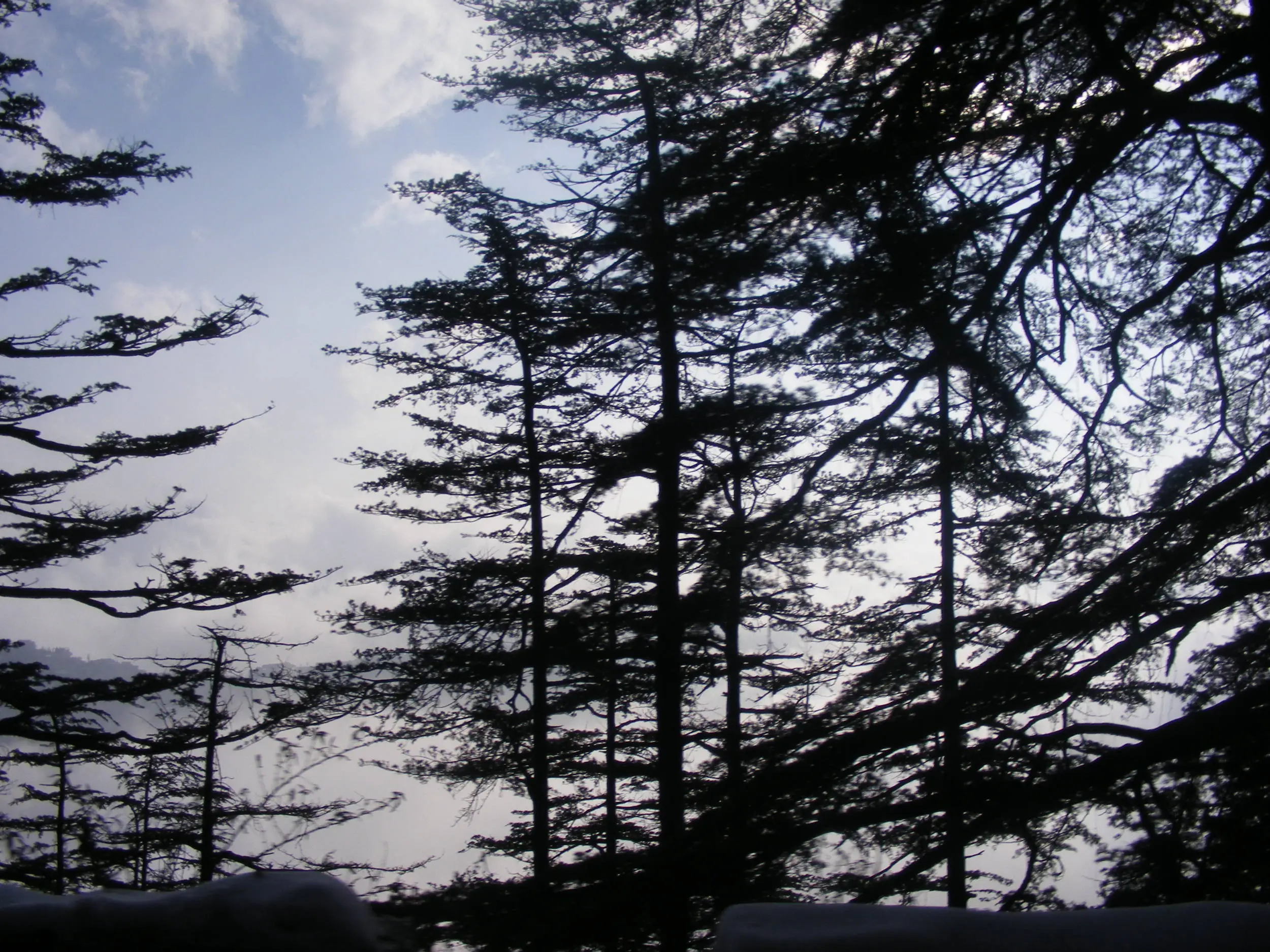 DSCF5040